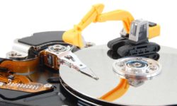 Etiam dictum egestas